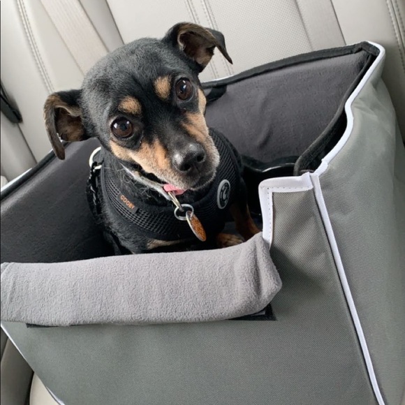 Meet your Posher, Rachel - Picture 4 of 6